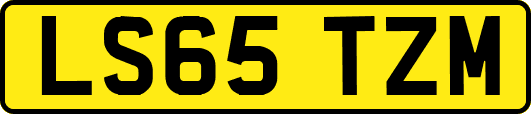 LS65TZM