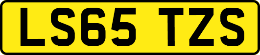 LS65TZS