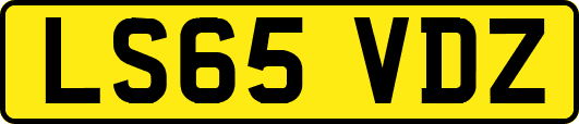LS65VDZ