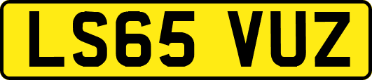 LS65VUZ