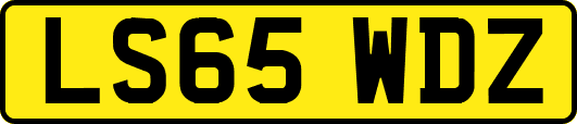LS65WDZ
