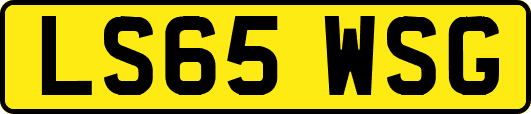 LS65WSG