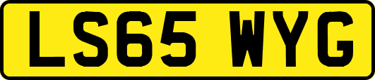 LS65WYG