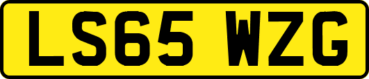 LS65WZG