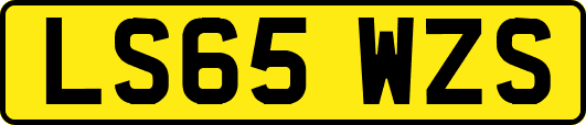 LS65WZS