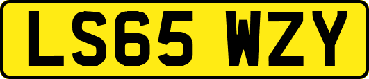 LS65WZY