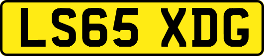 LS65XDG
