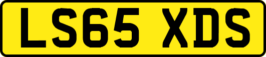 LS65XDS