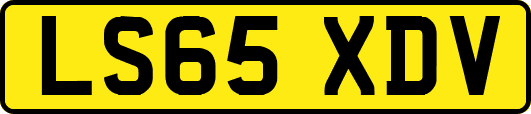 LS65XDV