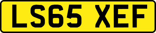 LS65XEF