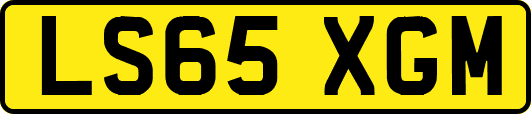 LS65XGM