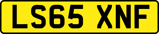 LS65XNF