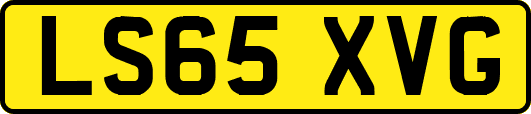 LS65XVG
