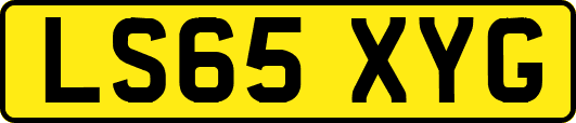 LS65XYG