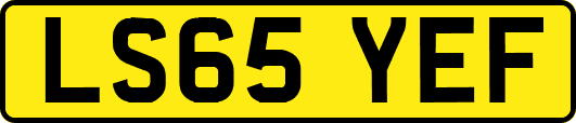 LS65YEF