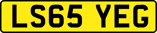 LS65YEG
