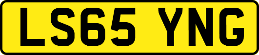 LS65YNG