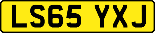 LS65YXJ
