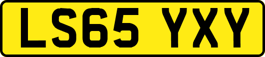 LS65YXY