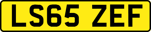 LS65ZEF