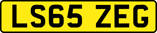 LS65ZEG