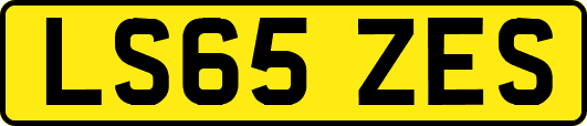 LS65ZES