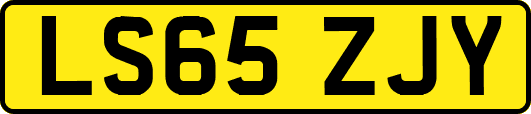 LS65ZJY