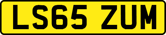 LS65ZUM