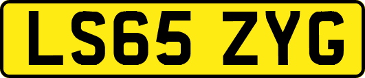 LS65ZYG
