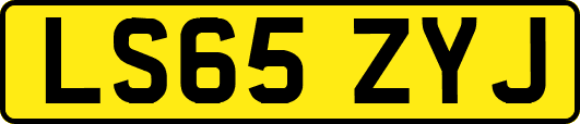 LS65ZYJ