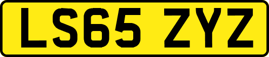 LS65ZYZ