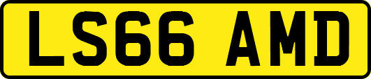 LS66AMD
