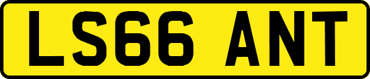 LS66ANT