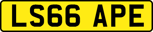 LS66APE
