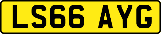 LS66AYG