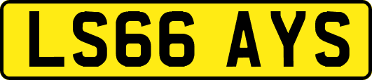 LS66AYS