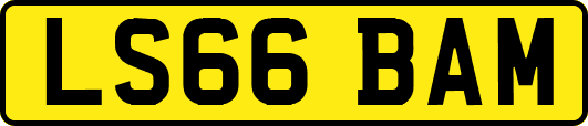 LS66BAM