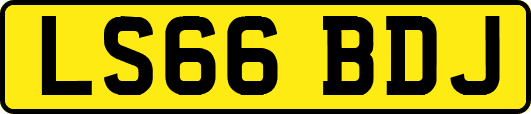 LS66BDJ