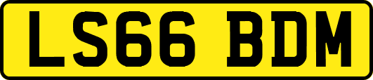 LS66BDM