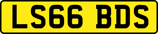 LS66BDS