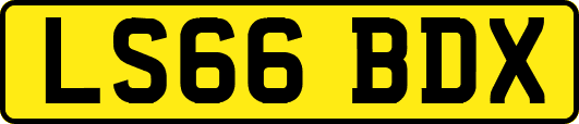 LS66BDX
