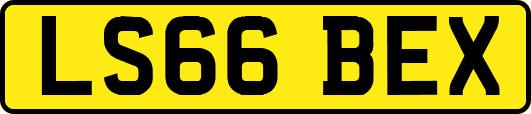 LS66BEX