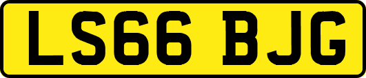 LS66BJG
