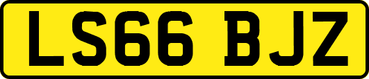 LS66BJZ