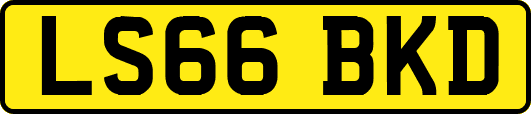 LS66BKD