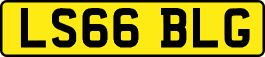 LS66BLG