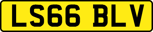 LS66BLV