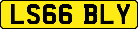 LS66BLY