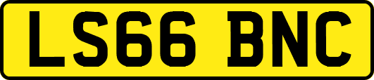 LS66BNC