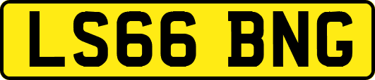 LS66BNG